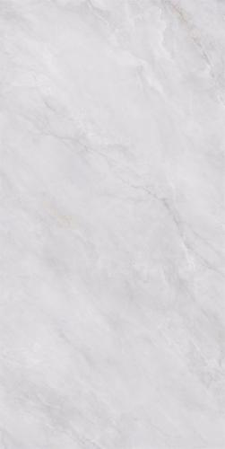 A62CB-P007-布朗尼2